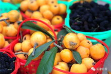 江津日报水果团购来了 不出江津城,就能尝到当日新鲜水果