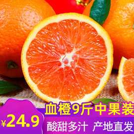 0成交0笔济南市广西武鸣皇帝柑5斤橘子新鲜水果桔子