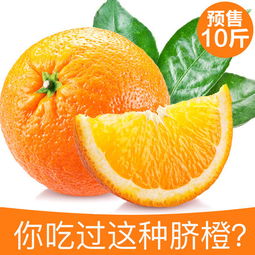 里耶脐橙新鲜水果湘西特产新鲜多汁预售约10斤装