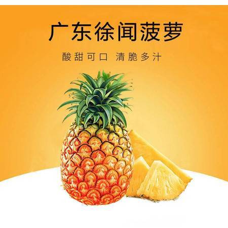 凤梨湛江徐闻新鲜水果大菠萝广东特产5斤 10斤邮政农品精美礼盒装